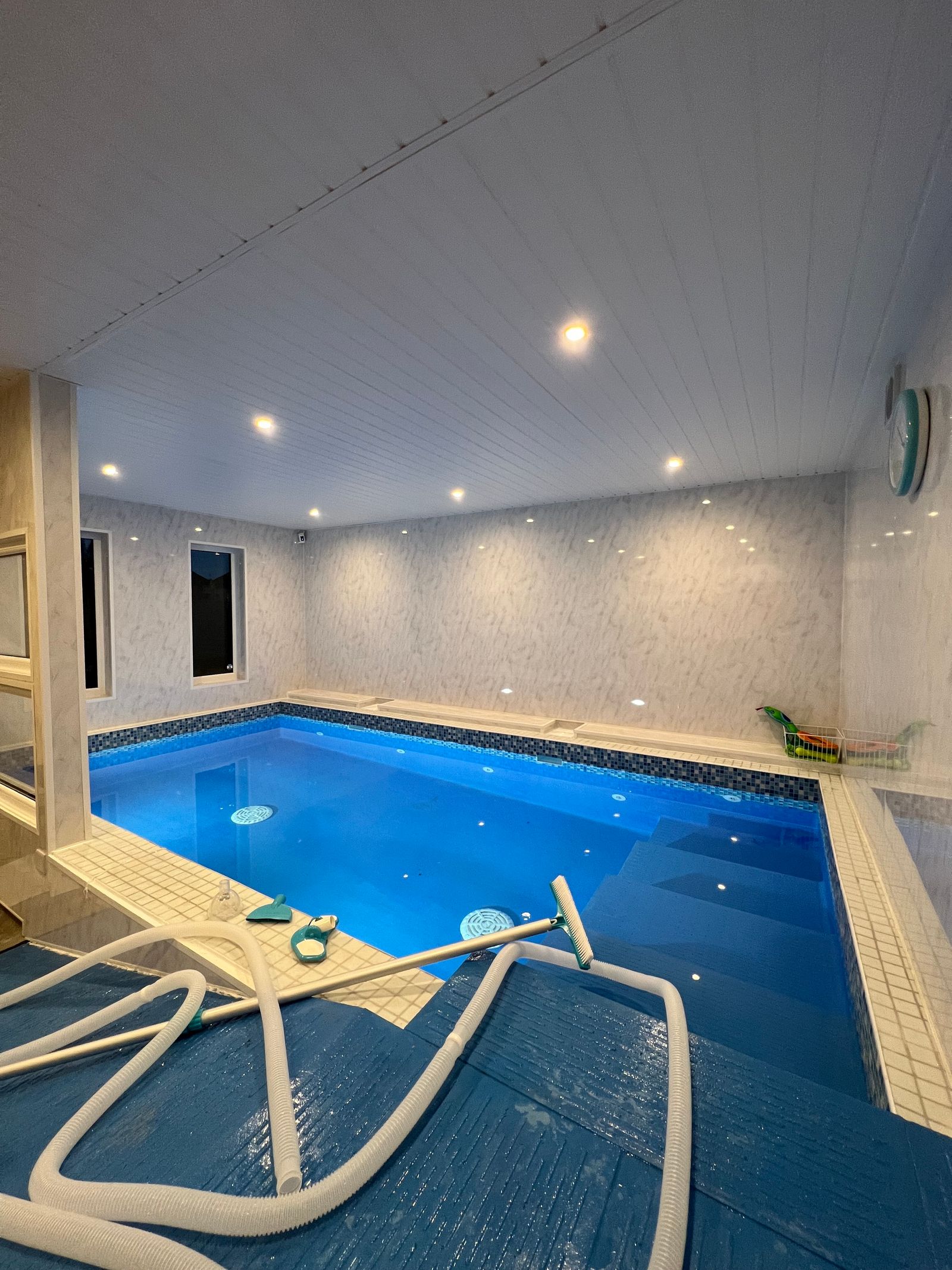 A canine hydrotherapy pool with a brush on the side.