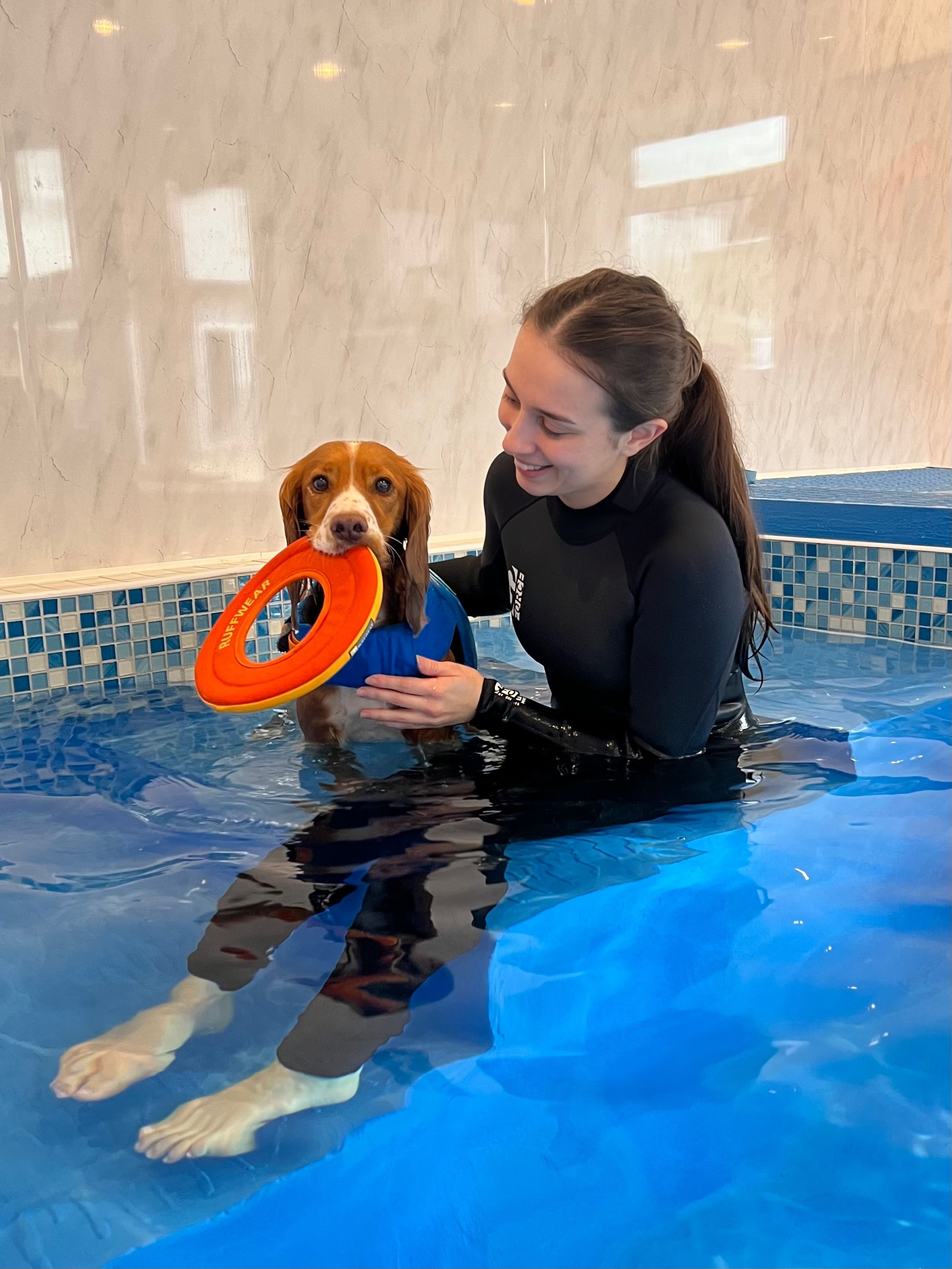 Katie sat in a hydrotherapy pool with Casper the cockerspanial. Casper is holding an orange frisbee in his mouth.