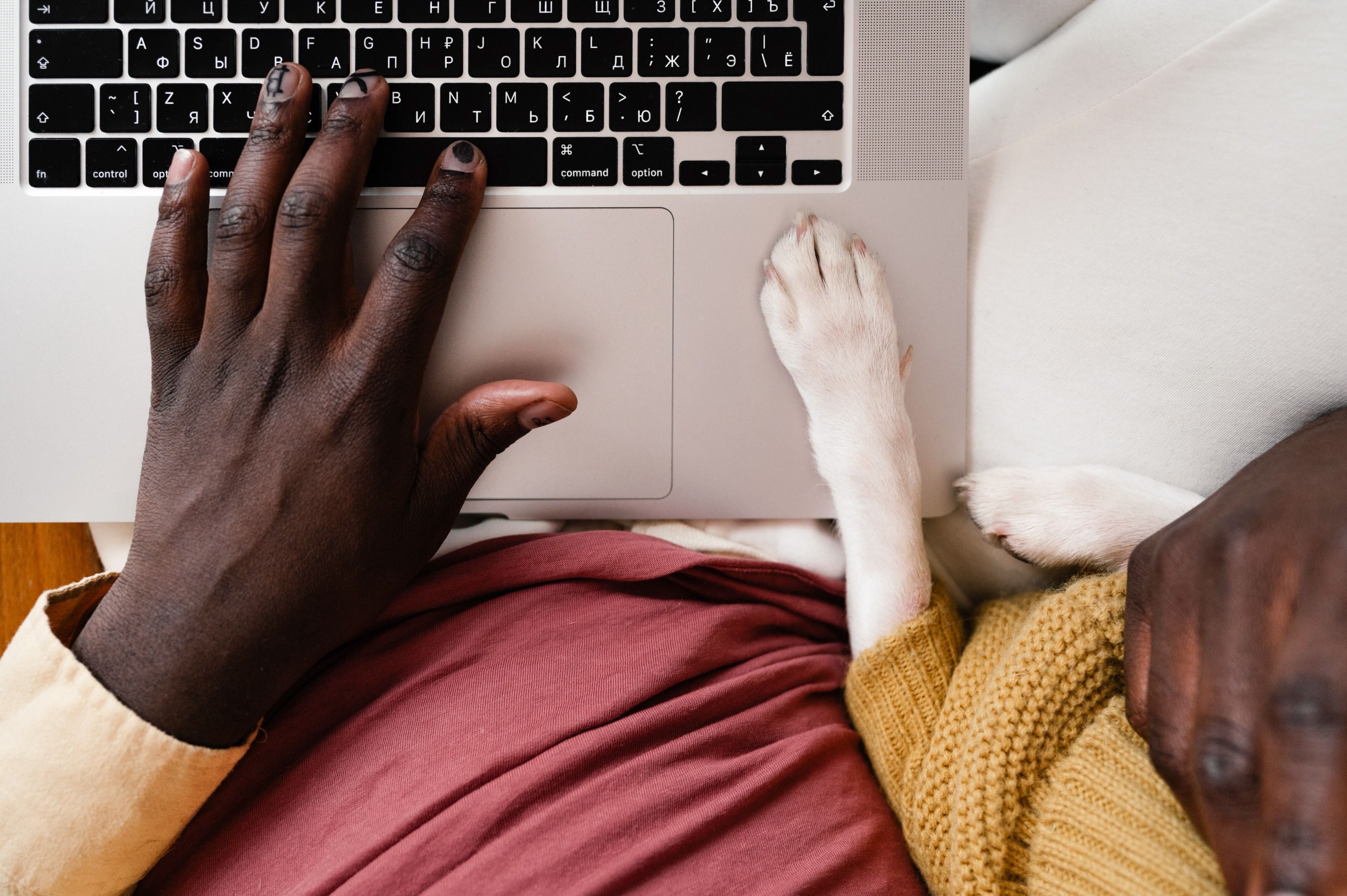 A photo form above showing the hand of a person MacBook laptop, a white dog is beside them with it's paw also on the laptop